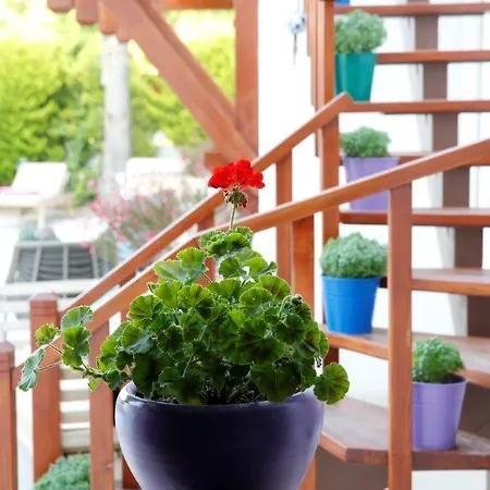 Corner Boutique Hotel 3*